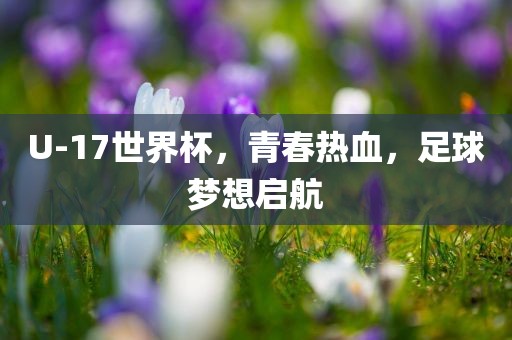 U-17世界杯，青春热血，足球梦想启航