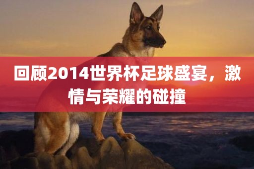 回顾2014世界杯足球盛宴，激情与荣耀的碰撞