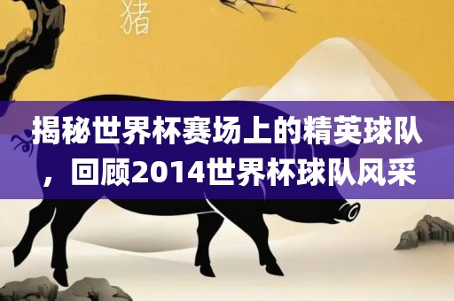 揭秘世界杯赛场上的精英球队，回顾2014世界杯球队风采