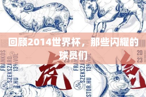 回顾2014世界杯，那些闪耀的球员们