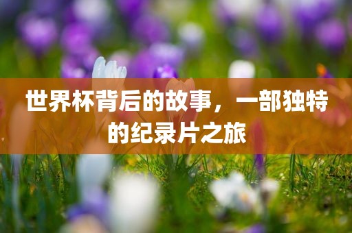 世界杯背后的故事，一部独特的纪录片之旅