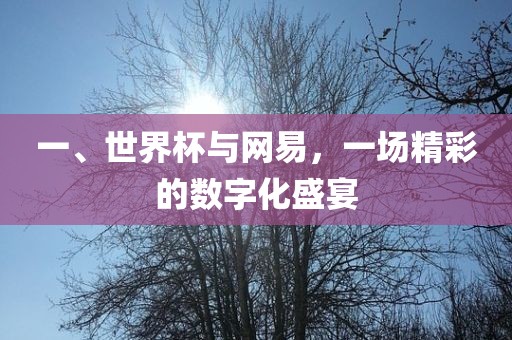 一、世界杯与网易，一场精彩的数字化盛宴