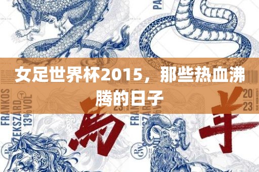 女足世界杯2015，那些热血沸腾的日子