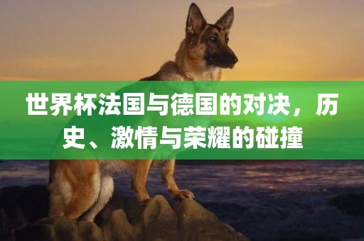 世界杯法国与德国的对决，历史、激情与荣耀的碰撞