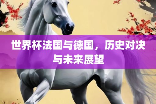 世界杯法国与德国，历史对决与未来展望