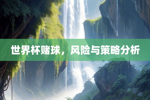 世界杯赌球，风险与策略分析