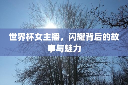 世界杯女主播，闪耀背后的故事与魅力