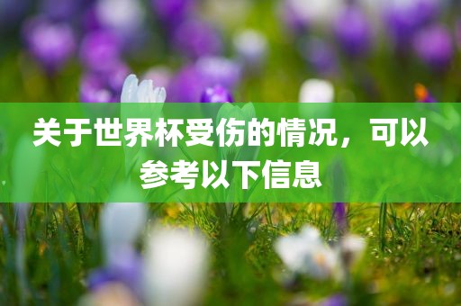 关于世界杯受伤的情况，可以参考以下信息