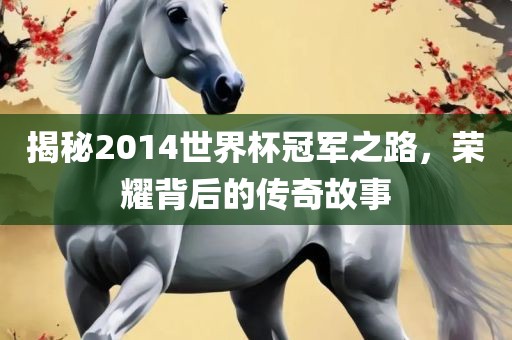 揭秘2014世界杯冠军之路，荣耀背后的传奇故事
