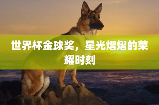 世界杯金球奖，星光熠熠的荣耀时刻