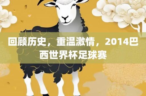 回顾历史，重温激情，2014巴西世界杯足球赛