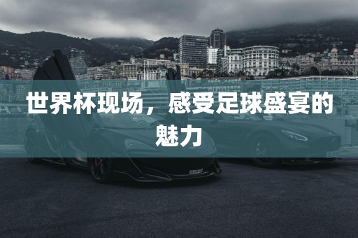 世界杯现场，感受足球盛宴的魅力