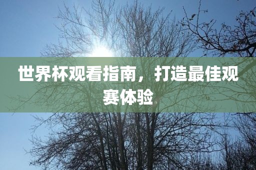 世界杯观看指南，打造最佳观赛体验