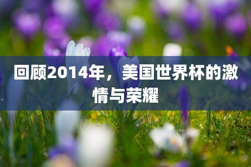 回顾2014年，美国世界杯的激情与荣耀