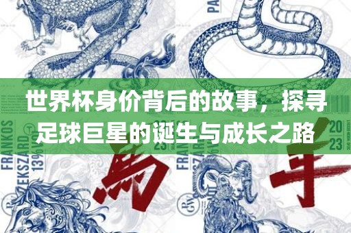 世界杯身价背后的故事，探寻足球巨星的诞生与成长之路