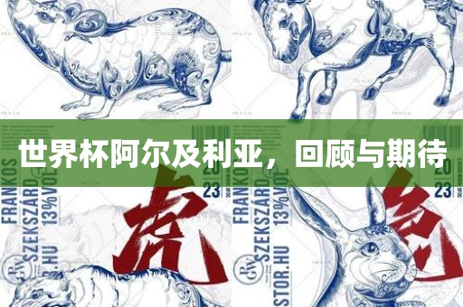世界杯阿尔及利亚，回顾与期待