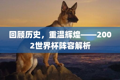 回顾历史，重温辉煌——2002世界杯阵容解析