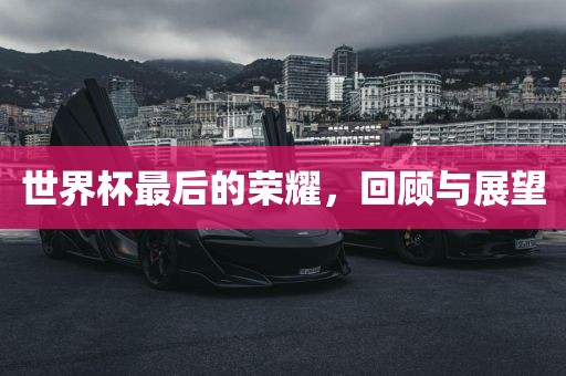 世界杯最后的荣耀，回顾与展望