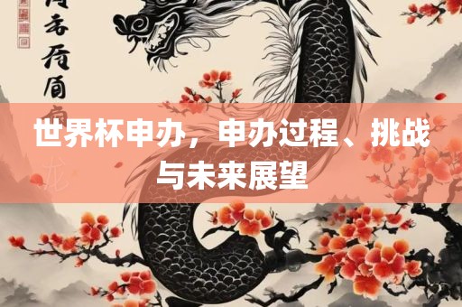 世界杯申办，申办过程、挑战与未来展望