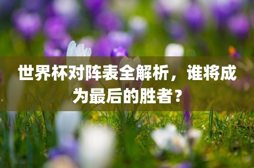 世界杯对阵表全解析，谁将成为最后的胜者？