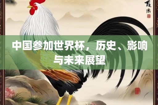 中国参加世界杯，历史、影响与未来展望