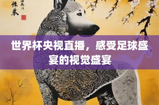 世界杯央视直播，感受足球盛宴的视觉盛宴