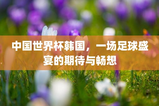 中国世界杯韩国，一场足球盛宴的期待与畅想