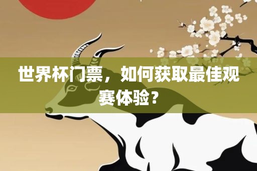 世界杯门票，如何获取最佳观赛体验？