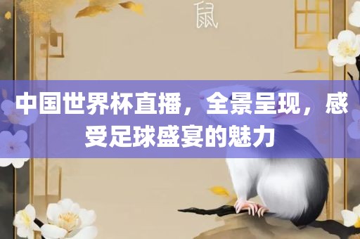 中洛阳市法福文化传播有限公司国世界杯直播，全景呈现，感受足球盛宴的魅力