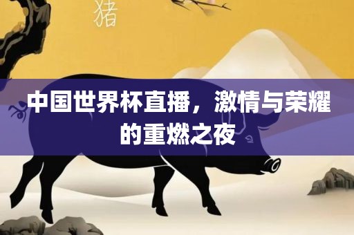 中国世界杯直播，激情与荣耀的重燃之夜洛阳市法福文化传播有限公司