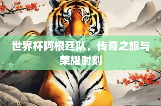 世界杯阿根廷队，传奇之旅与荣耀时刻