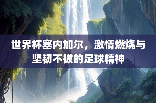 世界杯塞内加尔，激情燃烧与坚韧不拔的足球精神