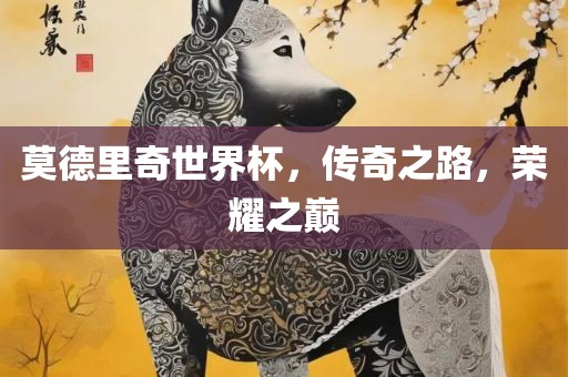 莫德里奇世界杯，传奇之路，荣耀之巅