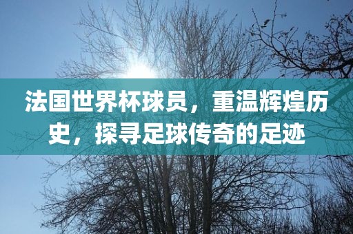 法国世界杯球员，重温辉煌历史，探寻足球传奇的足迹
