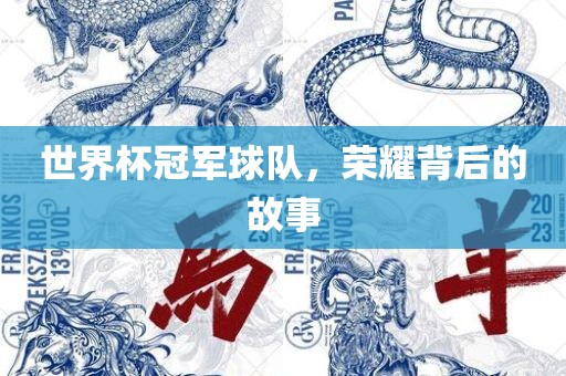 世界杯冠军球队，荣耀背后的故事