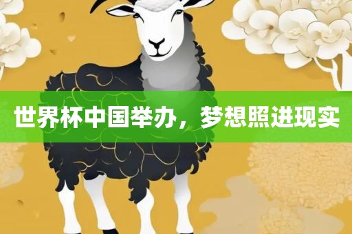 世界杯中国举办，梦想照进现实