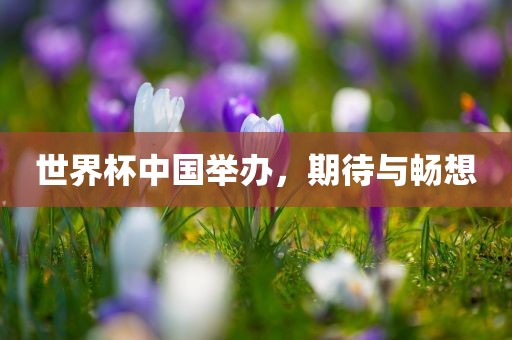 世界杯中国举办，期待与畅想