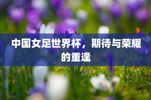 中国女足世界杯，期待与荣耀的重逢