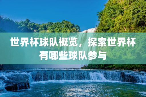 世界杯球队概览，探索世界杯有哪些球队参与