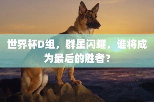 世界杯D组，群星闪耀，谁将成为最后的胜者？
