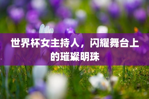 世界杯女主持人，闪耀舞台上的璀璨明珠