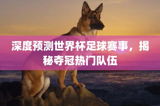 深度预测世界杯足球赛事，揭秘夺冠热门队伍
