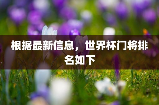 根据最新信息，世界杯门将排名如下