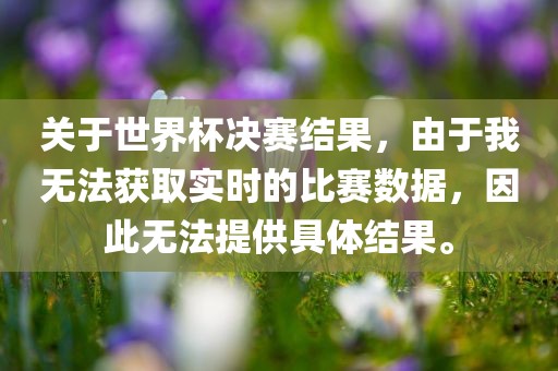 关于世界杯决赛结果，由于我无法获取实时的比赛数据，因此无法提供具体结果。