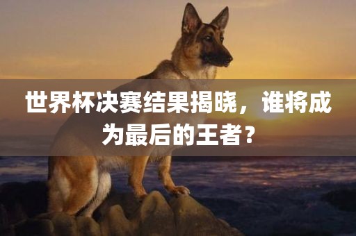 世界杯决赛结果揭晓，谁将成为最后的王者？洛阳市法福文化传播有限公司
