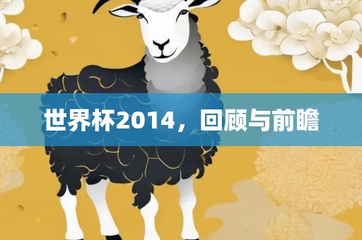 世界杯2014，回顾与前瞻