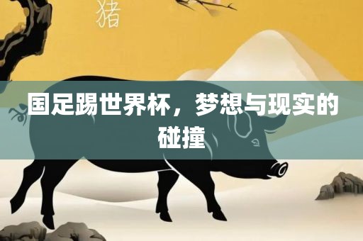 国足踢世界杯，梦想与现实的碰撞