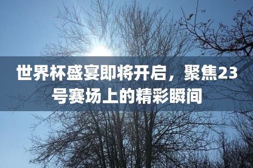 世界杯盛宴即将开启，聚焦23号赛场上的精彩瞬间