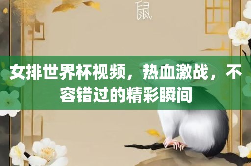 女排世界杯 第5页