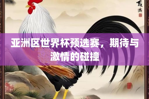 亚洲区世界杯预选赛，期待与激情的碰撞